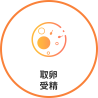格魯吉亞試管嬰兒取卵受精