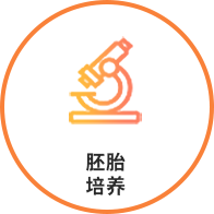 試管嬰兒驗(yàn)孕