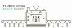 明日!好孕獨享·深圳專場!HRC美國試管嬰兒專家誠邀與您的見面!|錦欣國際