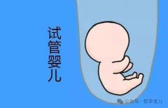 二代試管與三代試管：技術(shù)差異與適用人群對比