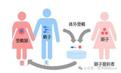 高齡女性做供L試管嬰兒需要注意那些事項(xiàng)，平均成功率70%并非騙人