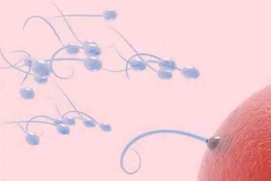 揭秘試管嬰兒治療男方取精全程，機構居然還有這種操作