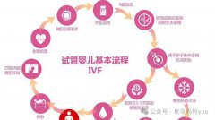 三代試管詳細流程，記住這幾個階段！一個周期費用只有這些！