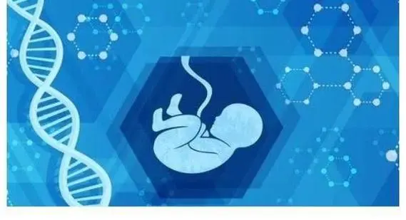 重慶女同可以做試管嬰兒的機構(gòu)有哪些?費用大概需要多少?