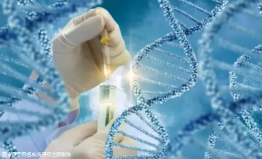 48歲高齡女性借卵做試管成功率有多少這幾點很重要