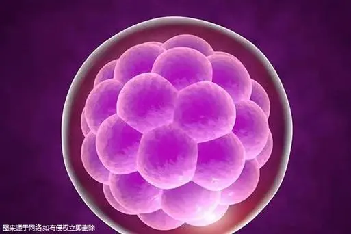 揭曉2024深圳供卵三代試管價格與選擇機構參考標準