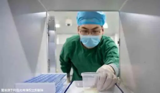 廣州助孕公司電話與地址在線一覽：附供卵三代試管全流程與費用介紹