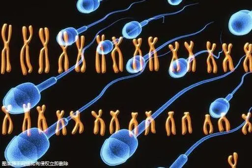 深圳三代試管包生男孩價格表在線一覽
