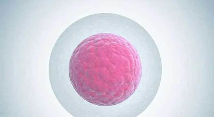 南京助孕網(wǎng)做一次三代試管多少錢?目前最低30-50w左右