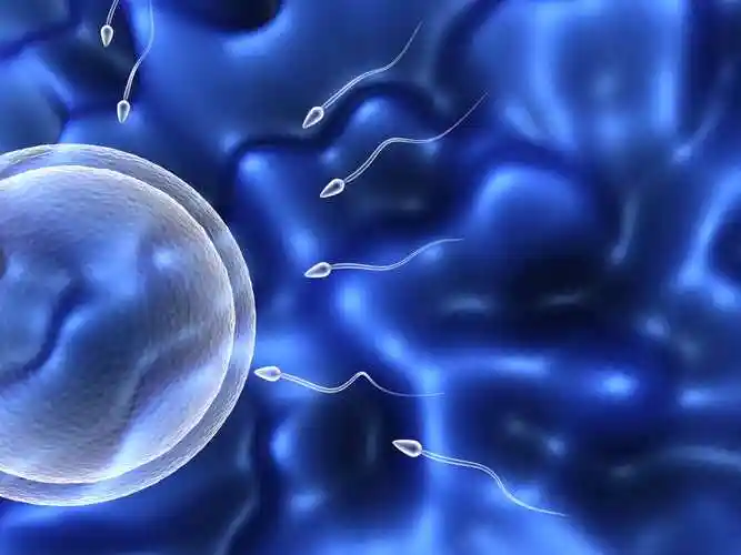 2024鄭州三代試管包生男孩最新價格表在線一覽