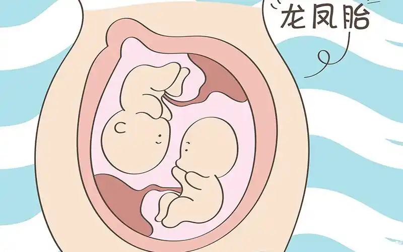 盤點(diǎn)五個(gè)懷雙胞胎的方法，有想法的夫妻看過(guò)來(lái)