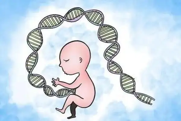 廣州做三代試管嬰兒多少錢(qián)?附包生男孩機(jī)構(gòu)推薦