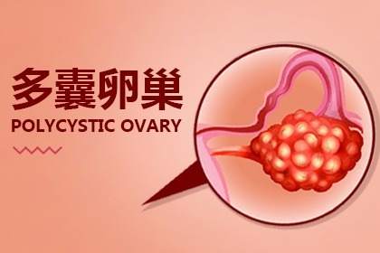 蘭州做b超檢查需要多少錢一次?部位，等級不同價格高低也不一樣