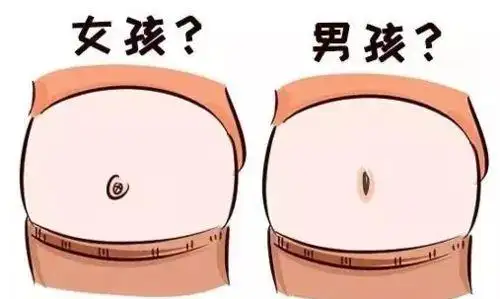 100%生男孩的表現(xiàn)是什么?肚形靠下、歪向一邊等都是重要參考標(biāo)準(zhǔn)
