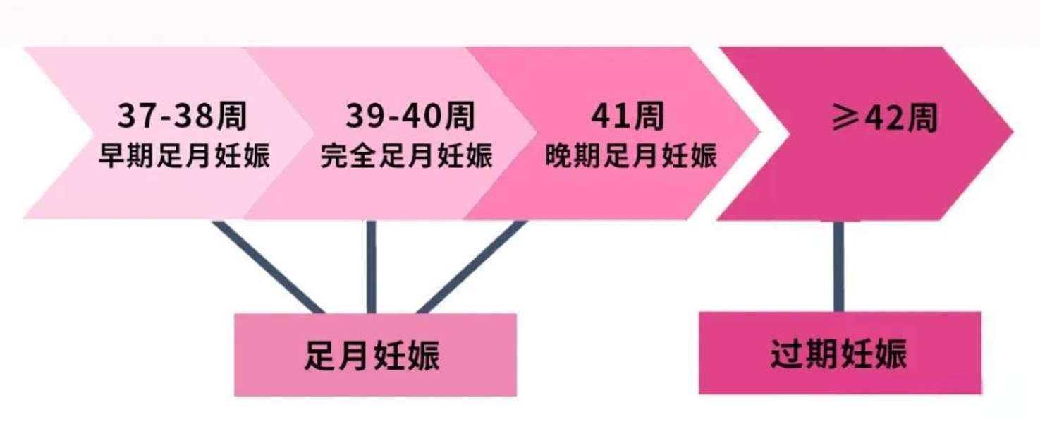 測(cè)出孕周和孕產(chǎn)期方法很簡(jiǎn)單，這五種技巧趕緊學(xué)習(xí)起來(lái)