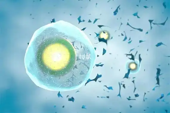 廣州供卵做試管的價格是多少?這幾家機構(gòu)良心推薦
